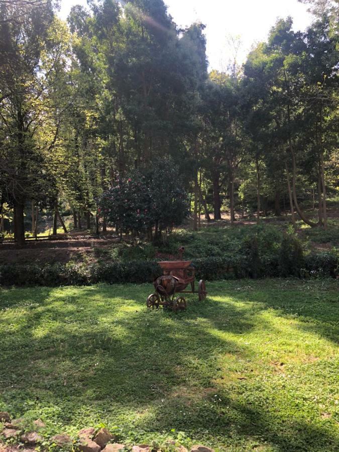 Villa Musolino - Country Resort Мессина Экстерьер фото
